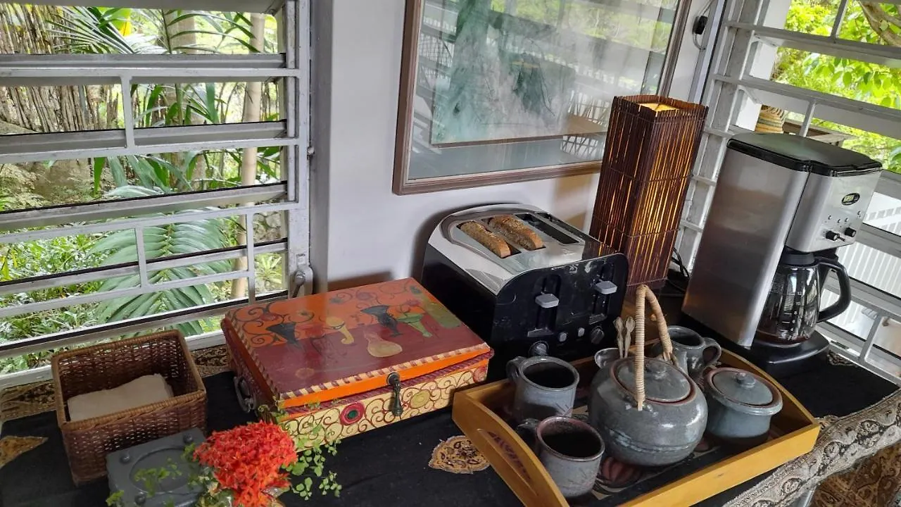 Neita's Nest Bed and Breakfast Kingston Bed & Breakfast