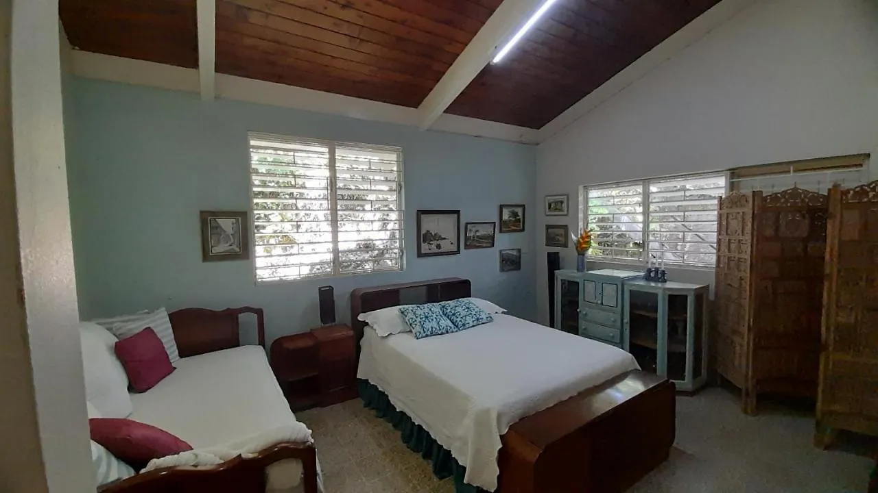 Bed & Breakfast Neita'S Nest Bed and Breakfast Kingston