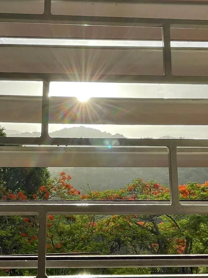 Neita'S Nest Bed and Breakfast Kingston Jamaica